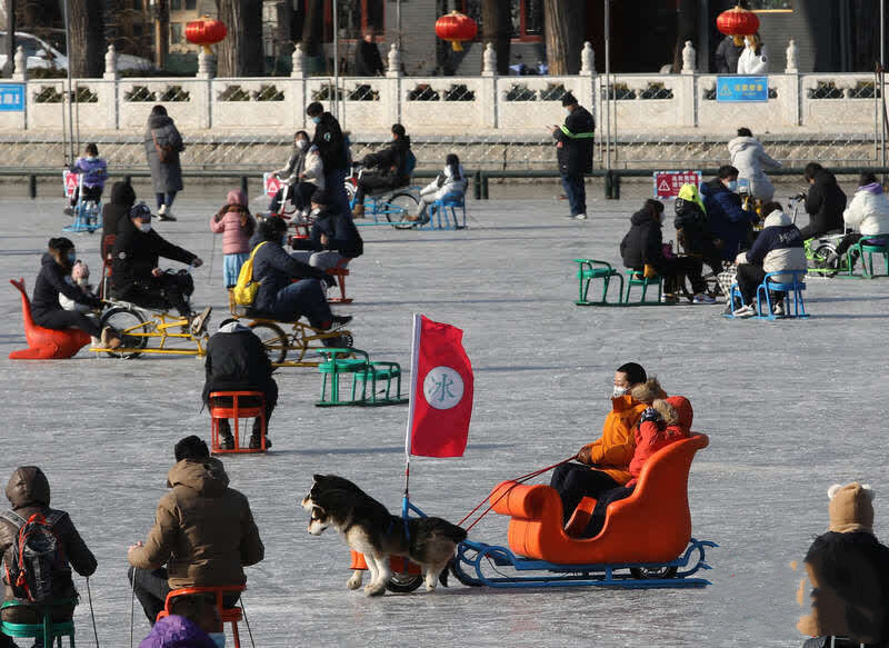 仿真狗拉雪橇  玩法簡單有趣