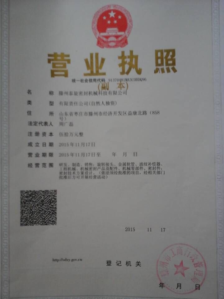 山東滕州泰旋密封科技