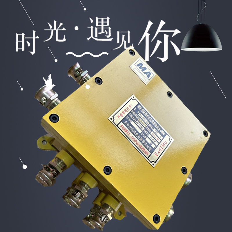 BHD-10/127-16G礦用隔爆型低壓電纜接線盒  礦用隔爆型分線盒