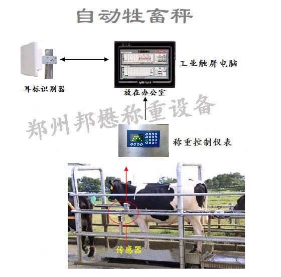 鄭州邦懋稱重設備有限公司