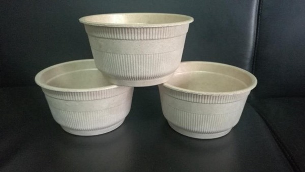 玉米秸稈生態(tài)全降解餐具及包裝制品生產(chǎn)流水線