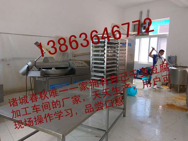 能夠把千頁豆腐做成香腸的機(jī)器13863646772春秋千頁豆腐灌腸機(jī)，真空灌裝機(jī)