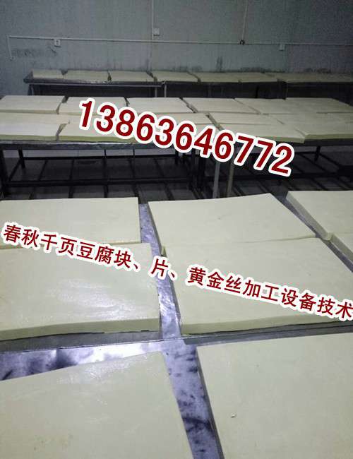 要想把千頁豆腐做好，選好千頁豆腐設(shè)備和千頁豆腐技術(shù)工藝，二者缺一不可