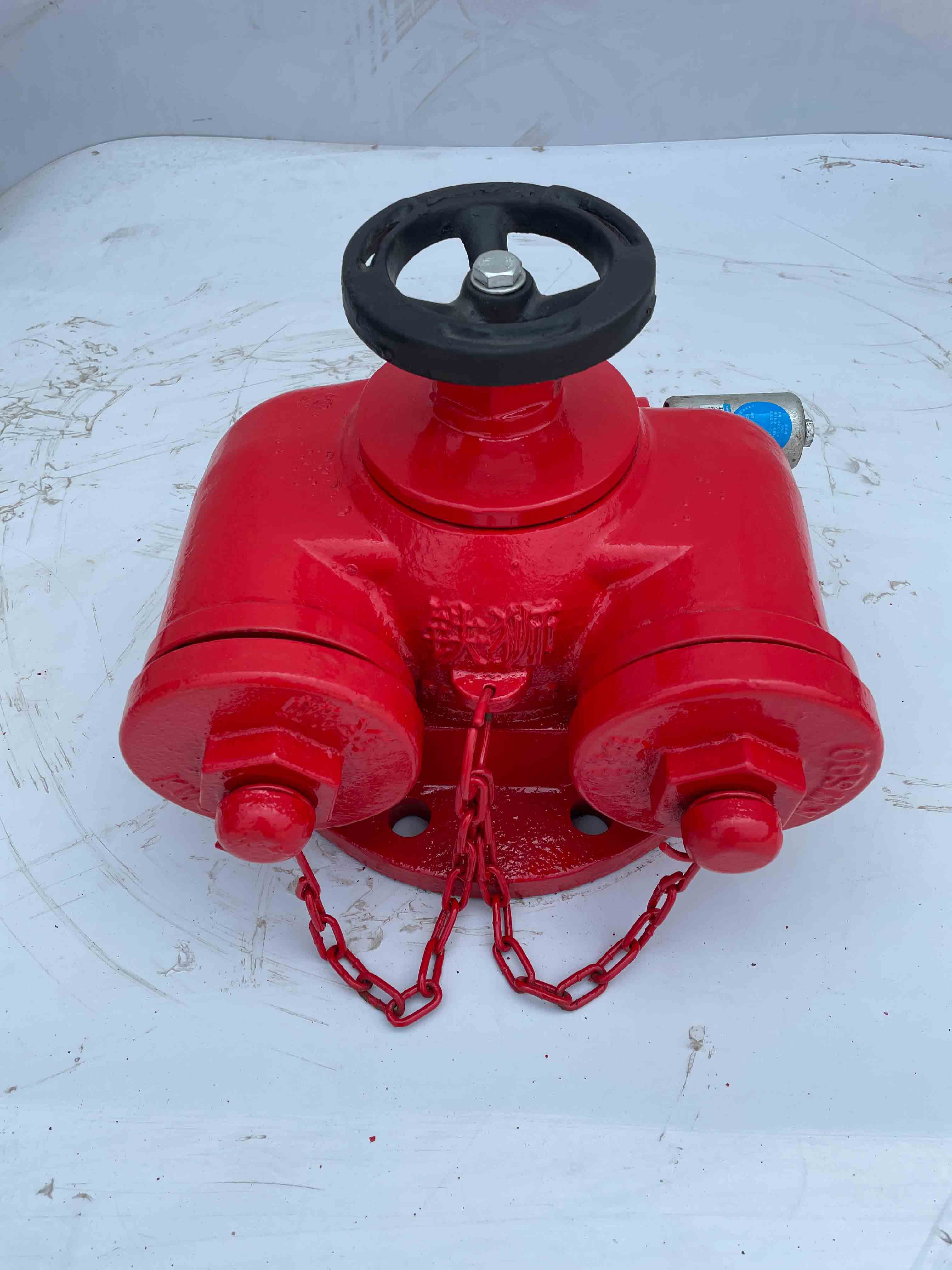 水泵接合器 使用壽命長 滄州鐵獅