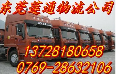 東莞蓮通物流有限公司