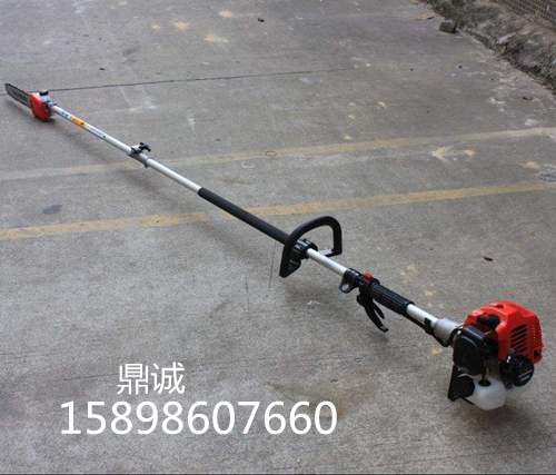 汽油高枝鋸園林工具高枝鋸背負(fù)式手動(dòng)高枝鋸林場(chǎng)伐木鋸