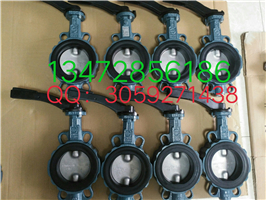 德國依博羅Z014-A支耳式蝶閥DN40-DN500