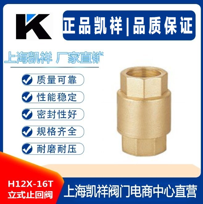 H12X-16T立式止回閥 黃銅立式止回閥
