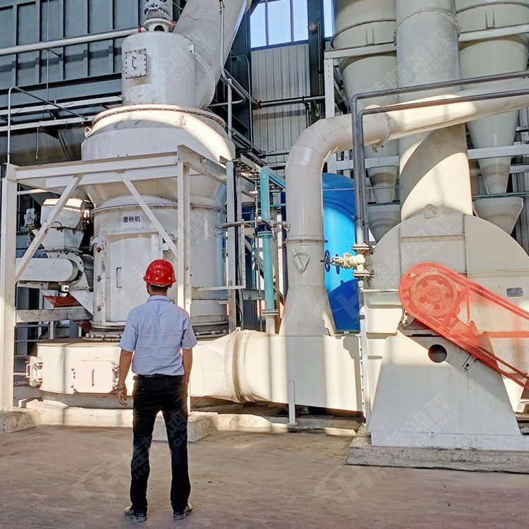 武鋼礦渣粉磨粉機中型縱擺磨粉機