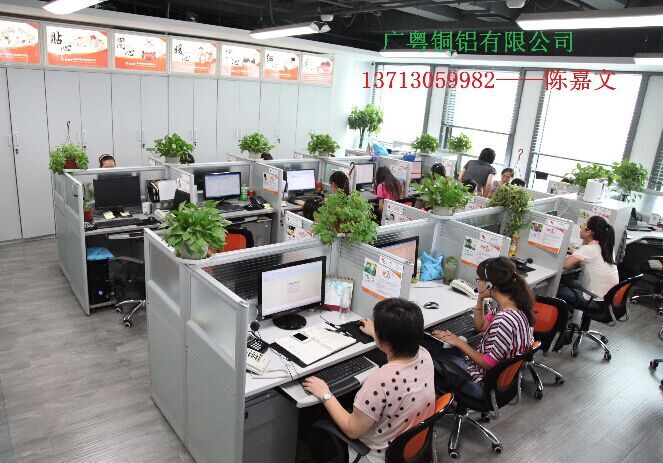 廣粵銅鋁有限公司