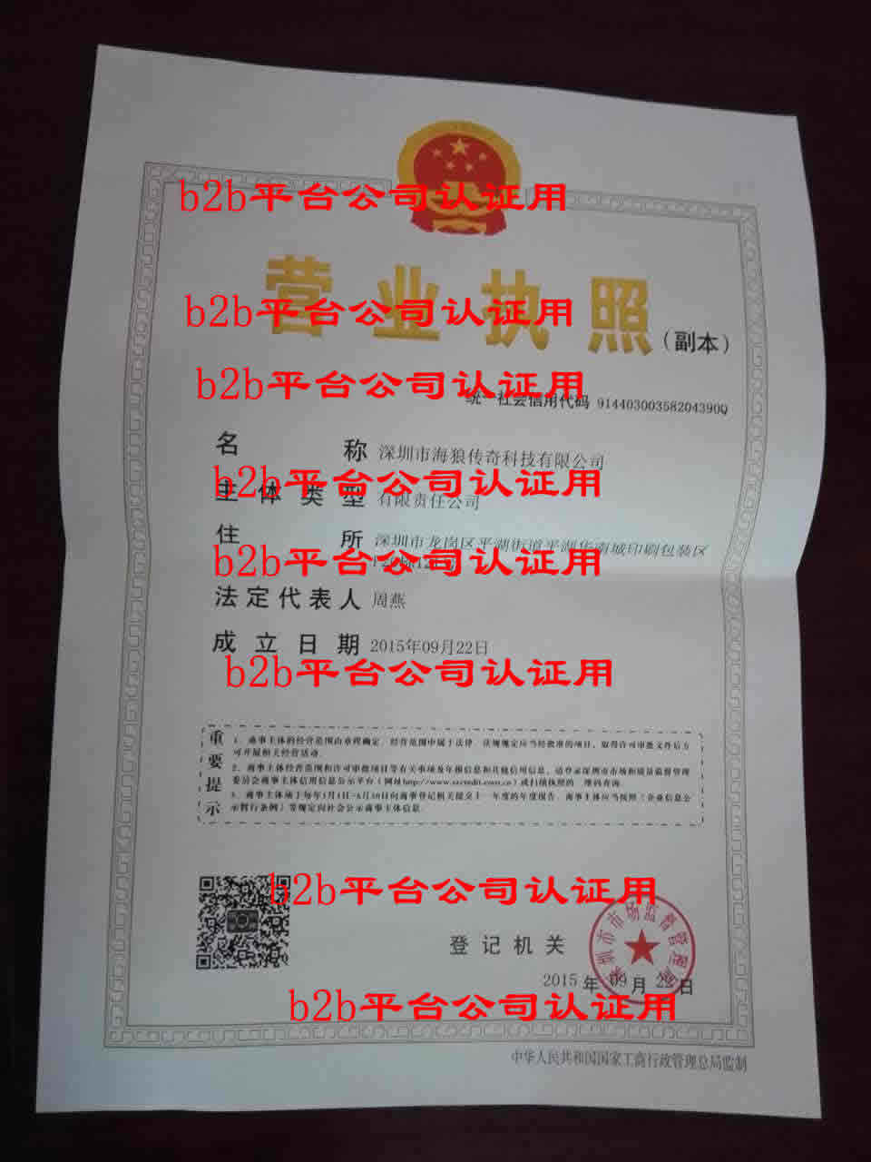 深圳市海狼傳奇科技有限公司