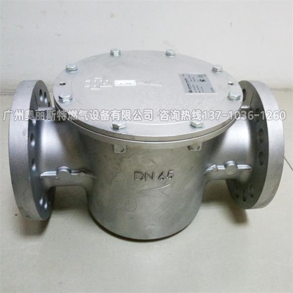 意大利貴龍70620F/6B，70640F/6B天然氣過濾器