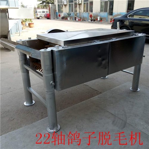 22軸鴿子臥式脫毛機