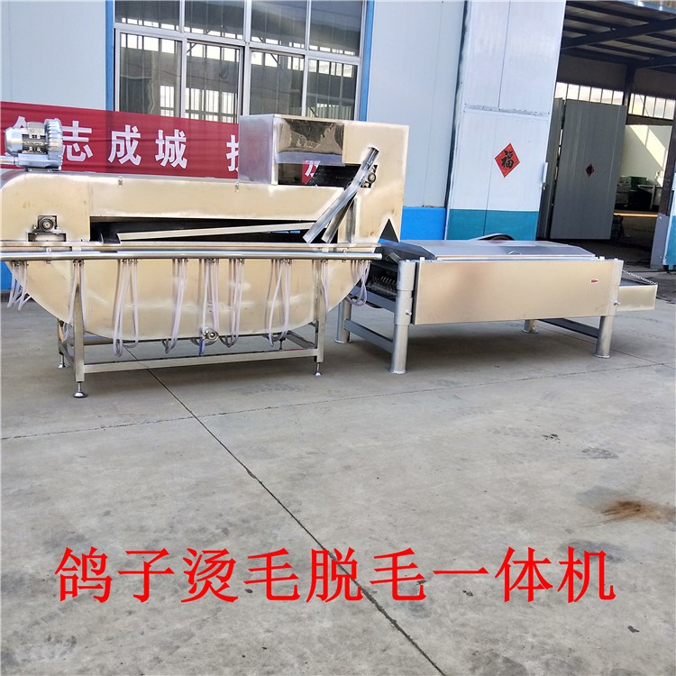 宏強鴿子燙毛脫毛一體機