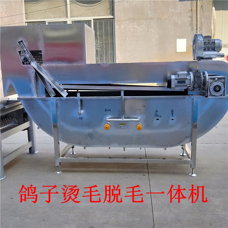 鴿子船式燙毛脫毛一體機
