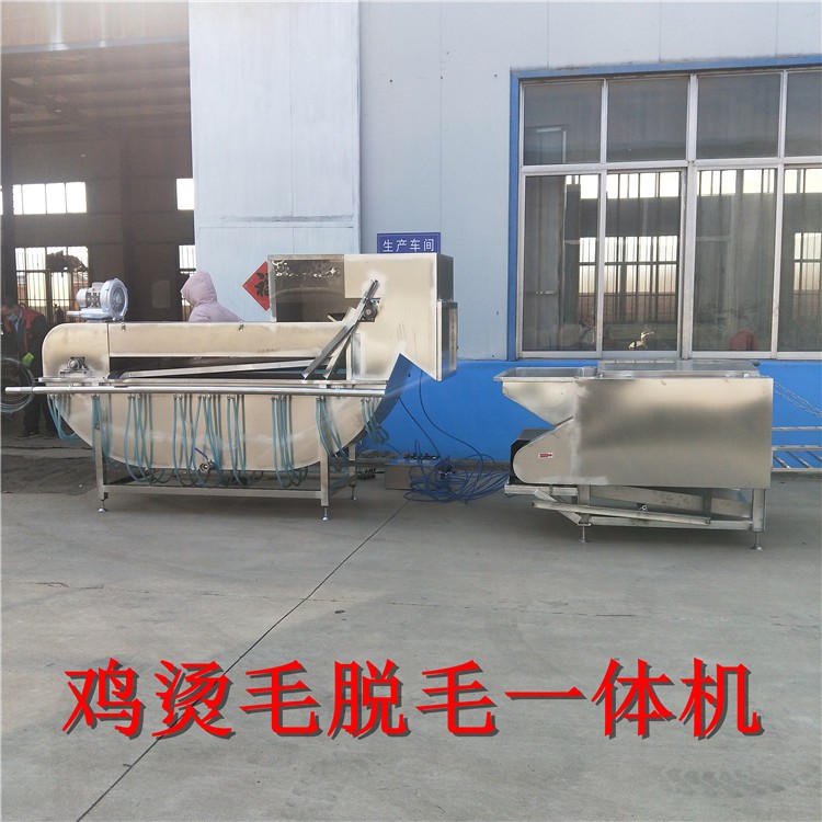 雞用船式燙毛脫毛一體機