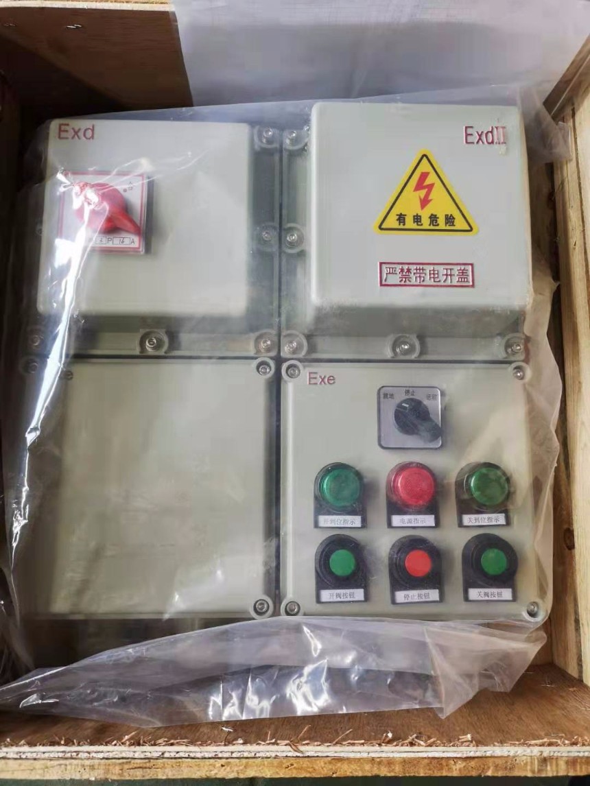 戶(hù)外型掛壁式 DKX-GW-K-10控制箱