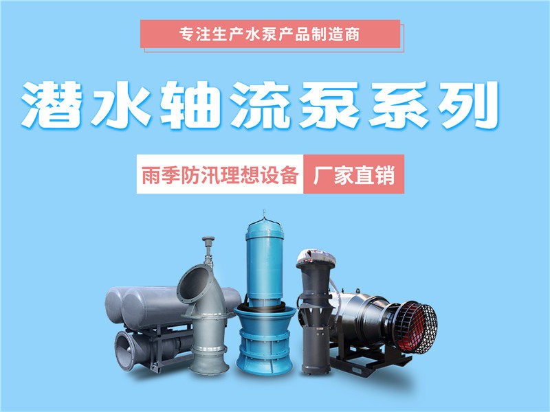 立式 臥式 斜拉式潛水軸流泵安裝圖示