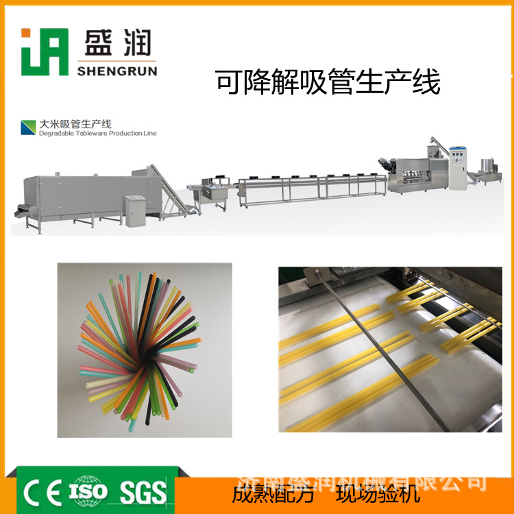 濟(jì)南盛潤(rùn)機(jī)械DLG-100大米吸管生產(chǎn)線