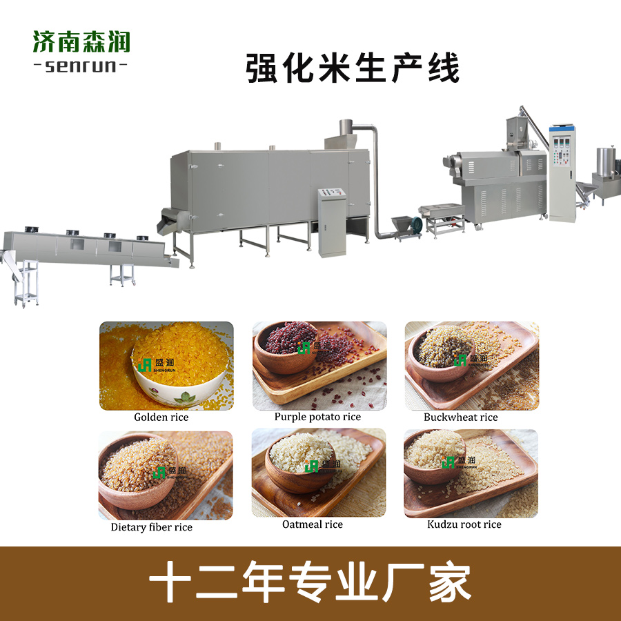 盛潤機械TSE-營養米雙螺桿膨化機