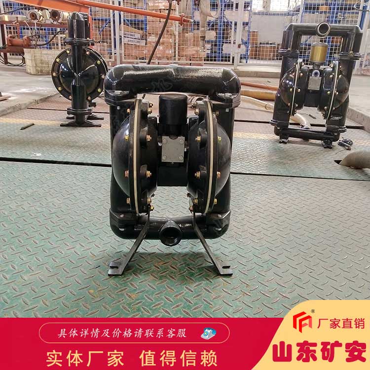 BQG100/0.4氣動隔膜泵安置簡便經(jīng)濟(jì)