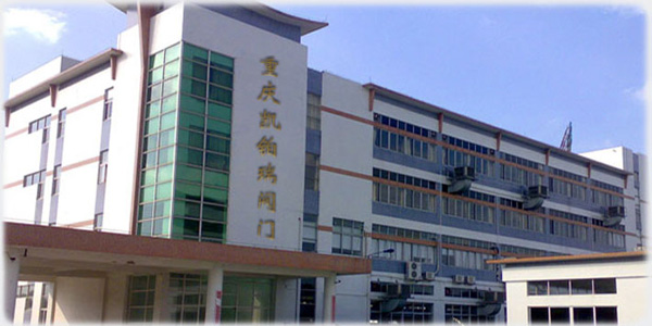 重慶凱鉑瑞閥門有限公司