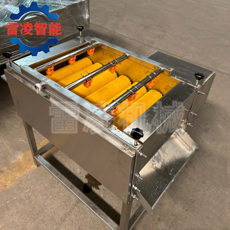 毛輥粽葉清洗機(jī) 全自動(dòng)荷葉清洗機(jī) 粽子加工設(shè)備