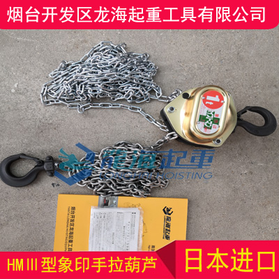 HMⅢ-300手拉葫蘆,海上救助用進口手拉葫蘆