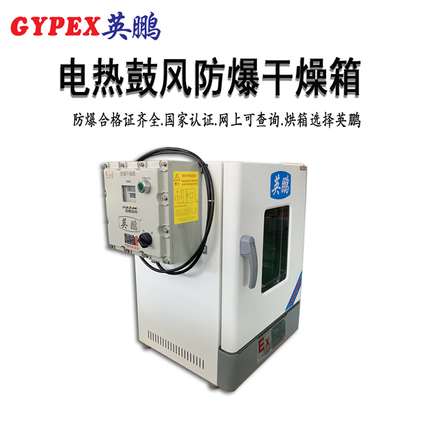 嘉興防爆恒溫鼓風(fēng)干燥箱-130升