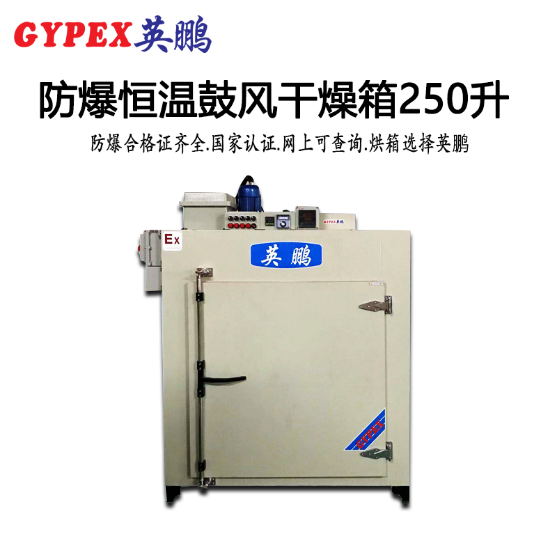 惠州防爆恒溫鼓風(fēng)干燥箱-250升