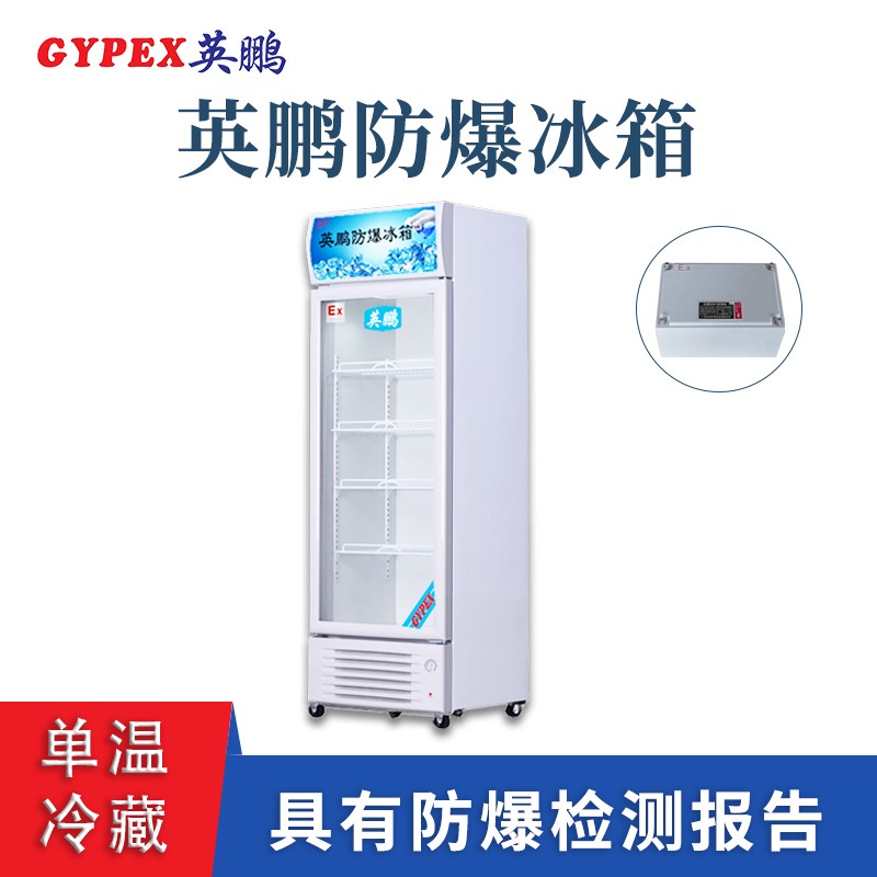 北京工業(yè)冷藏防爆冰箱
