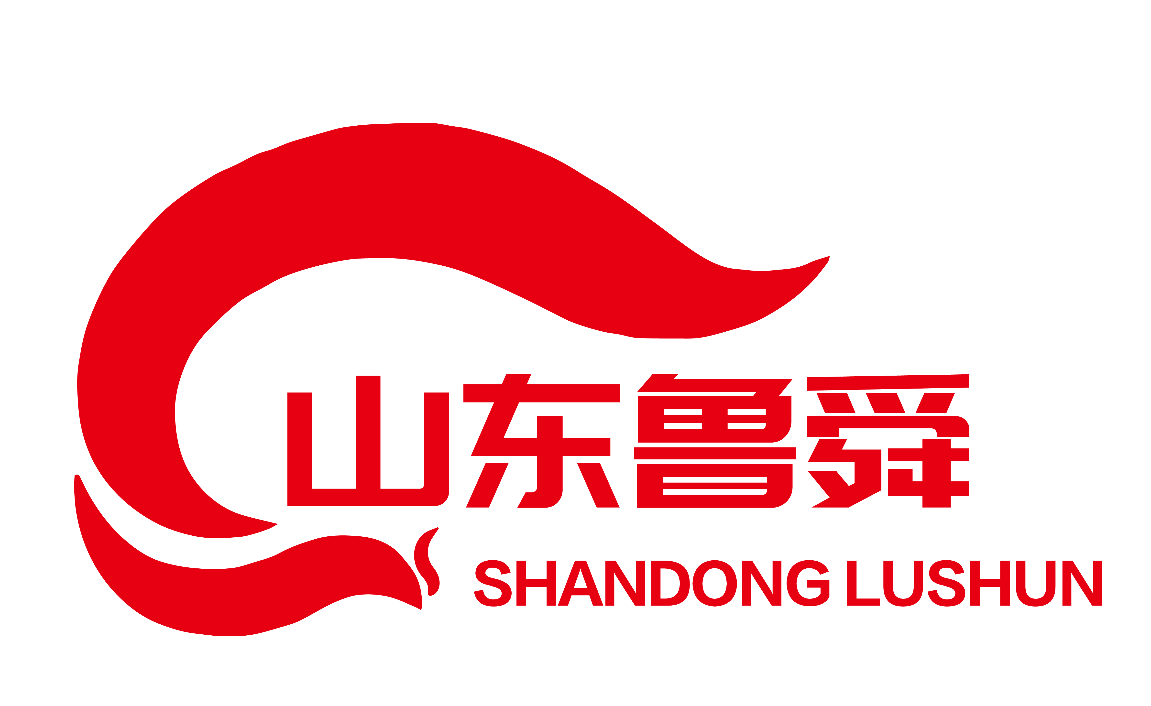 山東魯舜設備有限公司