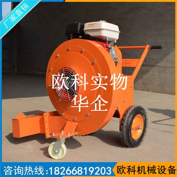 路面清掃吹風機 落葉清掃吹風機 內燃手推式吹風機