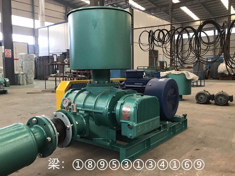 N型K型機械密封羅茨鼓風機生產廠家