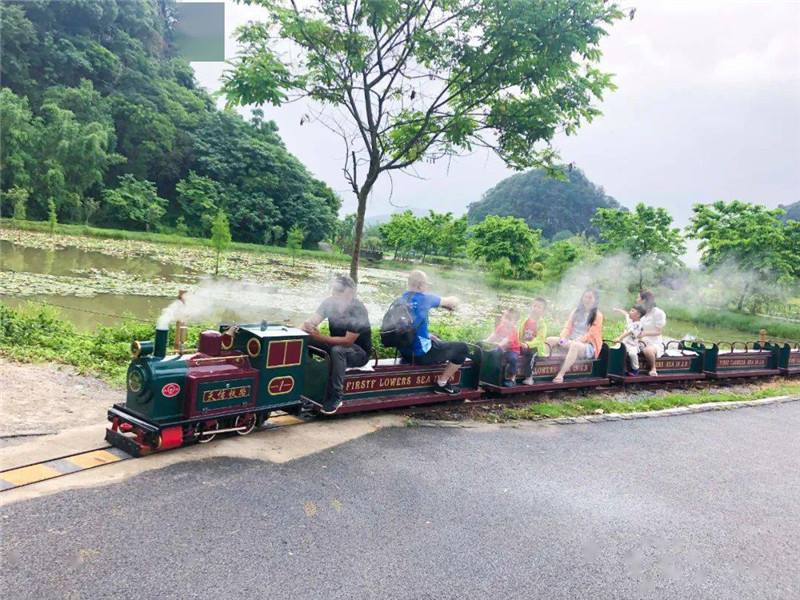 親子戶外游樂設備 景區觀光游玩小火車 季節限制小 適用人群廣jy-842