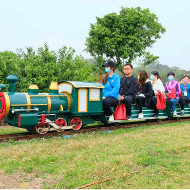 冰雪樂園無軌小火車 商場公園景區(qū)電動觀光車 四季游樂設(shè)備