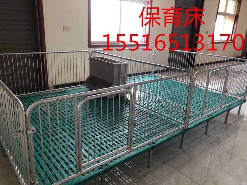 豬用設備保育床,小豬保育床,全復合保育床,豬場設備保育床