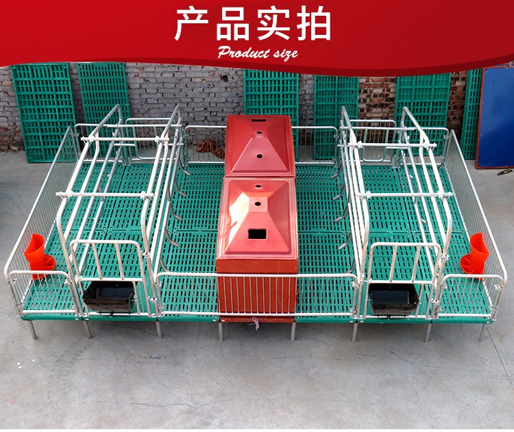 熱鍍鋅母豬分娩床 豬用產床