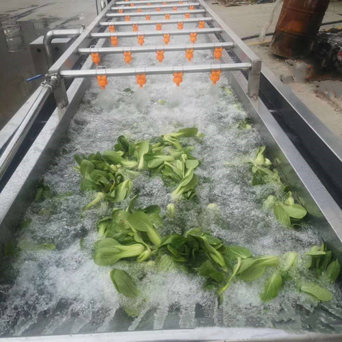 多功能蔬菜清洗機(jī)，果蔬清洗設(shè)備，菠菜清洗機(jī)