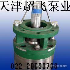 便攜熱水潛水泵