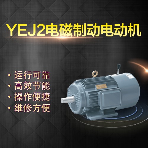 上海左力 YEJ制動電機 YEJ100L-6 (1.5kw)
