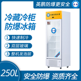 中山英鵬特種工業-醫用-實驗室-化工防爆冰箱-立式冷藏 250L  廠家直銷