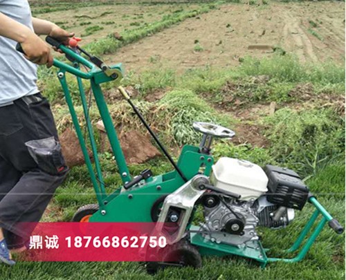 四川樂山本田汽油草坪起草機草坪切塊機 自走式鏟草皮機 草坪移植機多少錢