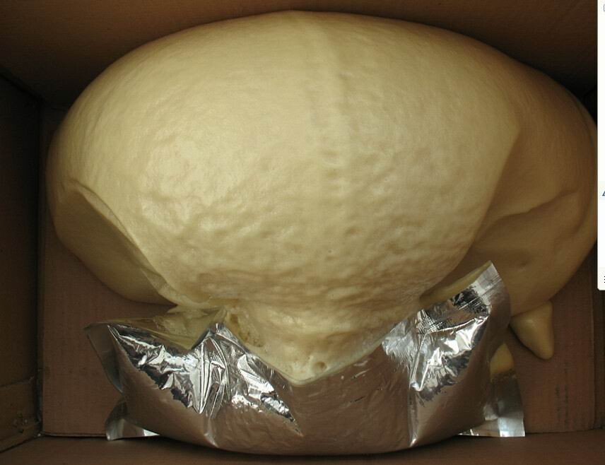 袋裝馬麗散封孔材料
