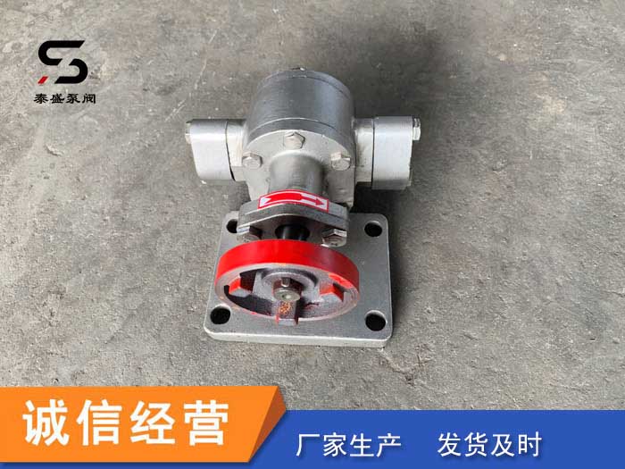 不銹鋼齒輪泵 耐腐蝕 高揚程
