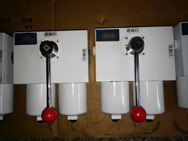 SGF雙筒高壓過濾器SGF-H500X5F