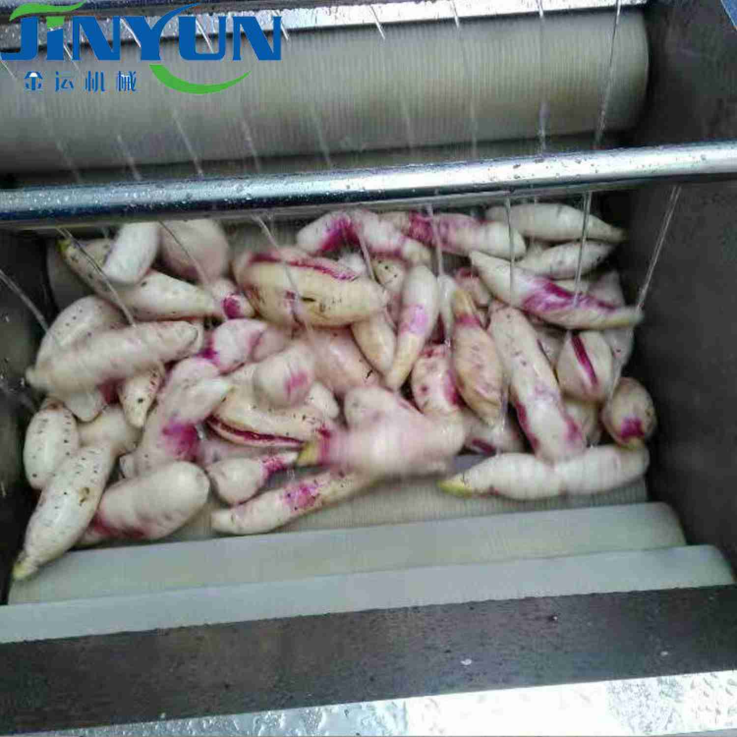 大蔥去皮清洗機?紅棗去雜清洗機