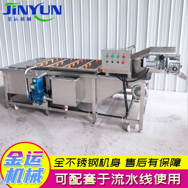大型全自動紅棗氣泡清洗機 秋葵氣泡清洗線 山楂黃瓜氣泡清洗機 桑葉氣泡清洗線