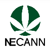 2025年美國波士頓新英格蘭大麻展