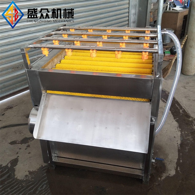粽葉清洗機(jī)荷葉葦葉清洗設(shè)備廠家